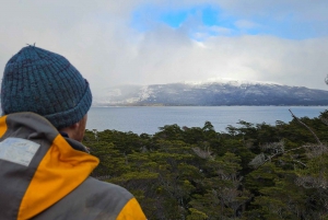 Ushuaia: Excursão a Puerto Almanza e Punta Paraná com jantar