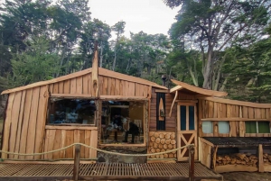 Ushuaia: Excursão a Puerto Almanza e Punta Paraná com jantar