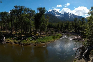 Ushuaia: Excursão a Puerto Almanza e Punta Paraná com jantar