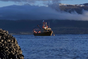Ushuaia: Excursão a Puerto Almanza e Punta Paraná com jantar