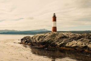 Ushuaia: Navegación por el Canal de Beagle hasta la colonia de pingüinos