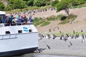 Ushuaia : Navigation sur le canal de Beagle jusqu'à la colonie de pingouins