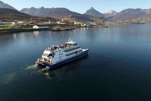 Ushuaia : Navigation sur le canal de Beagle jusqu'à la colonie de pingouins