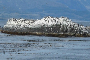 Ushuaia: Zeil door het Beagle-kanaal naar de pinguïnkolonie