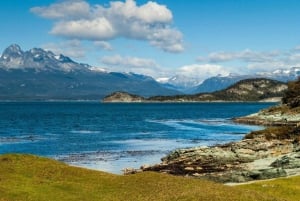 Ushuaia: Experiencia Compartida Parque Nacional 'Tierra del Fuego