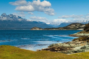 Ushuaia: Shared Experience 'Tierra del Fuego' National Park