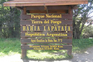 Ushuaia: Experiencia Compartida Parque Nacional 'Tierra del Fuego