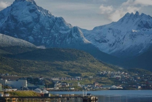 Ushuaia: Fælles oplevelse 'Tierra del Fuego' nationalpark