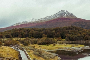 Ushuaia: Fælles oplevelse 'Tierra del Fuego' nationalpark