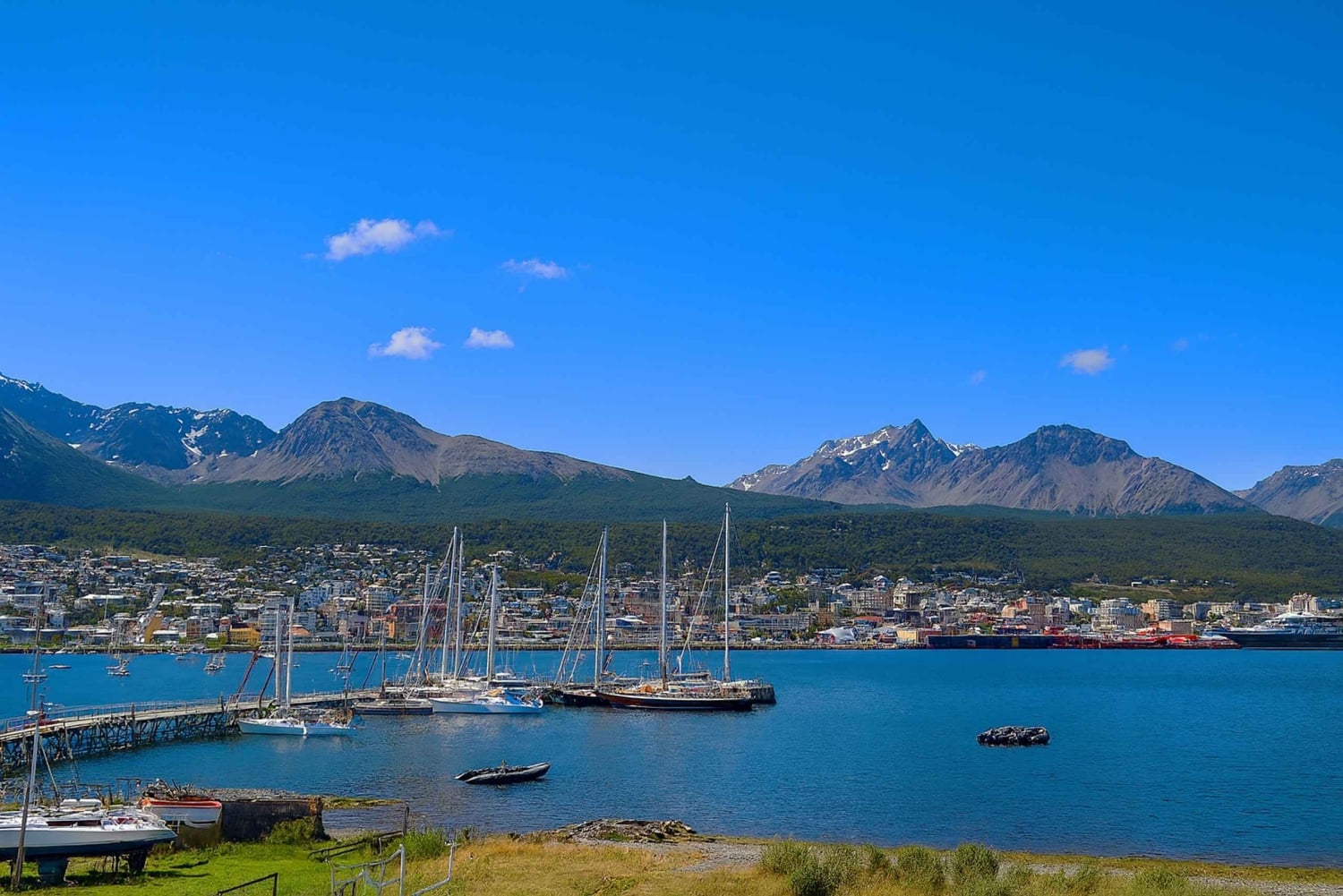 Ushuaia: Shore City Tour with Empanada and Wine