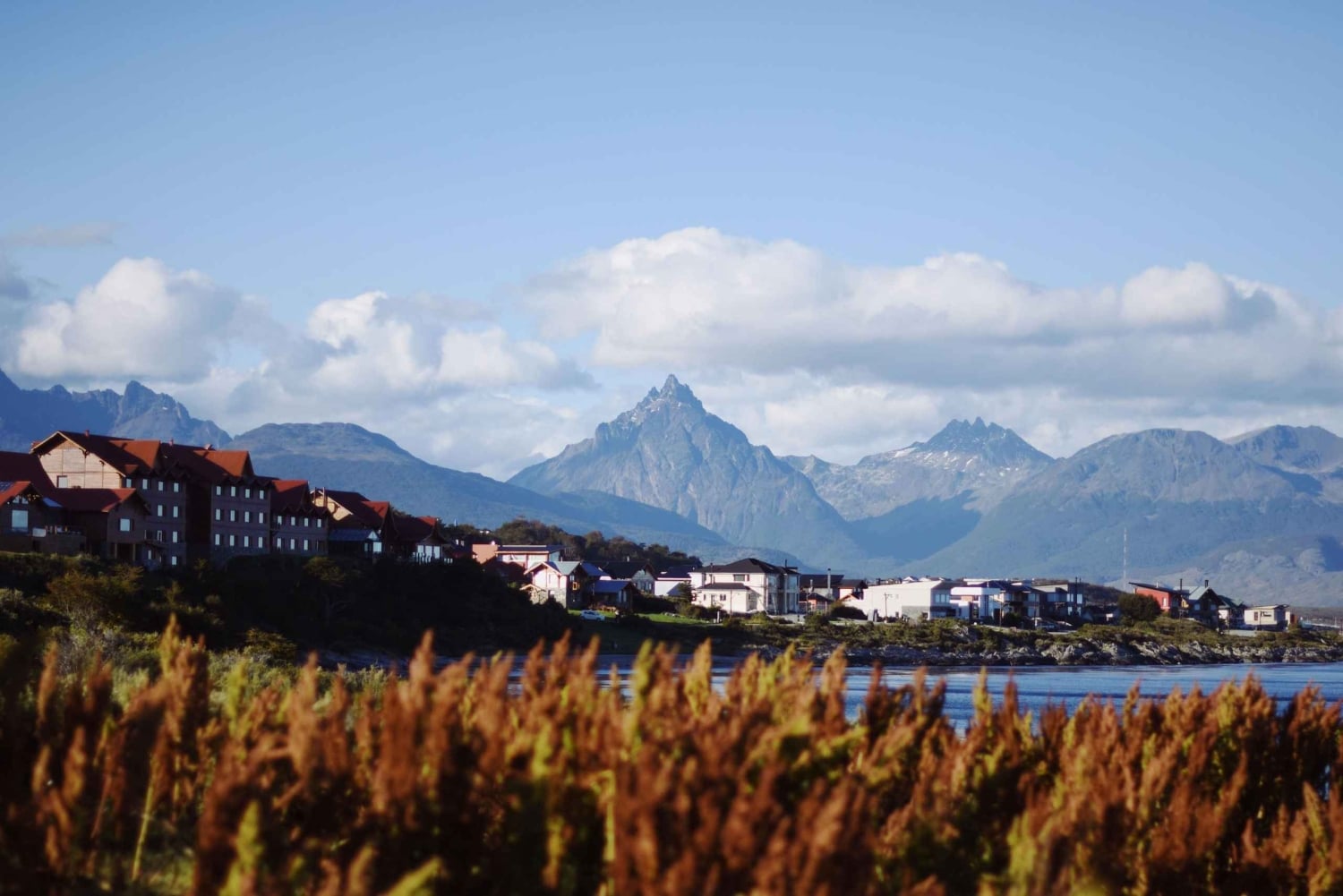 Ushuaia: Shore City Tour with Empanada and Wine