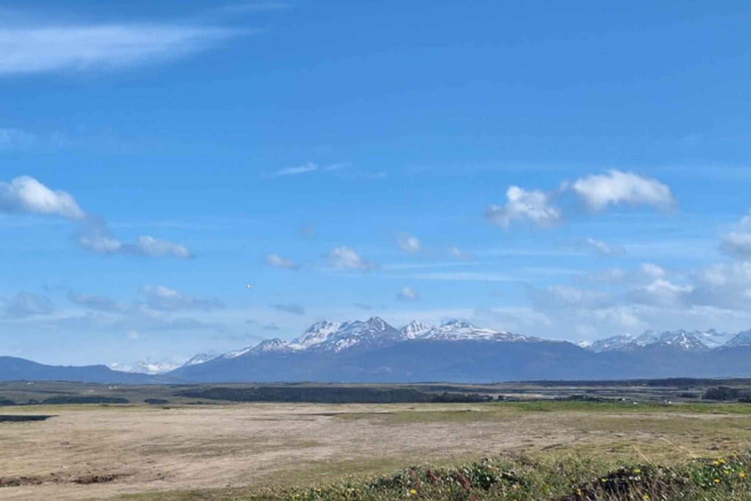 Ushuaia: Shore City Tour with Empanada and Wine