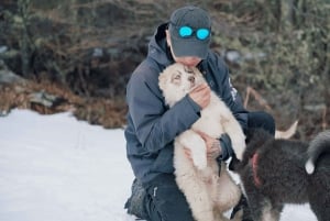 Ushuaia: Snowmobile+Rockets+Huskies+Skiing+Lunch or Pizza Rodizio