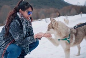 Ushuaia: Snowmobile+Rockets+Huskies+Skiing+Lunch or Pizza Rodizio