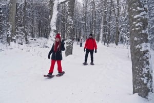 Ushuaia: Snowmobile+Rockets+Huskies+Skiing+Lunch or Pizza Rodizio