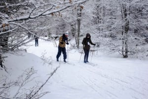 Ushuaia: Snowmobile+Rockets+Huskies+Skiing+Lunch or Pizza Rodizio