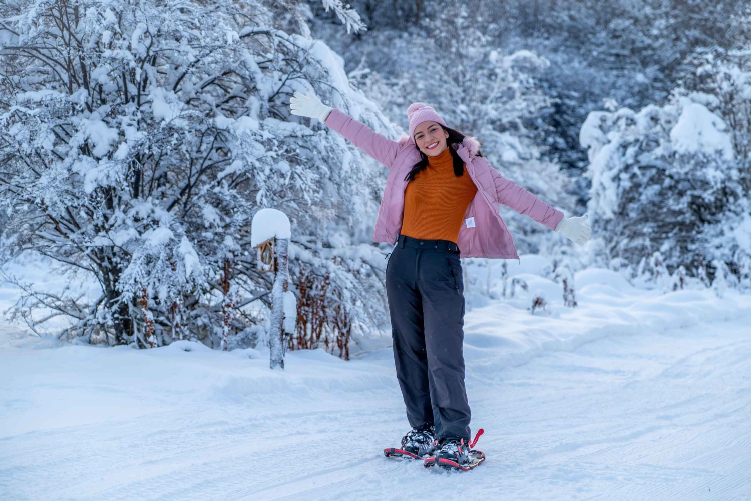 Ushuaia : Motoneige+Rockets+Huskies+Ski+Déjeuner ou Pizza Rodizio