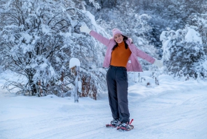 Ushuaia : Motoneige+Rockets+Huskies+Ski+Déjeuner ou Pizza Rodizio