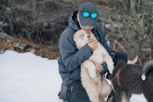 Ushuaia : Motoneige+Rockets+Huskies+Ski+Déjeuner ou Pizza Rodizio