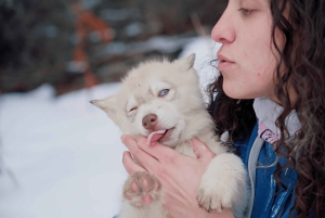 Ushuaia : Motoneige+Rockets+Huskies+Ski+Déjeuner ou Pizza Rodizio