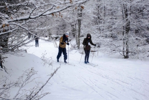 Ushuaia : Motoneige+Rockets+Huskies+Ski+Déjeuner ou Pizza Rodizio