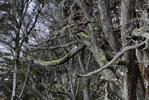 Ushuaia Sunset Experience