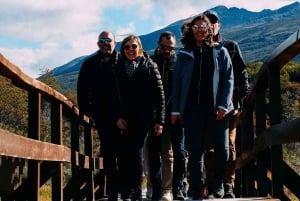 Ushuaia: Tierra del Fuegon kansallispuiston puolipäiväinen retki