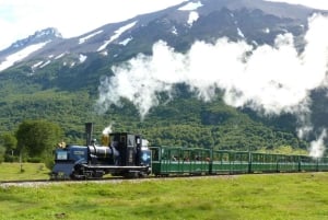 Ushuaia: Tierra del Fuegon kansallispuiston puolipäiväinen retki