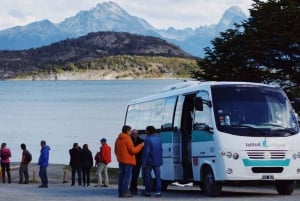 Ushuaia: Tierra del Fuegon kansallispuiston puolipäiväinen retki