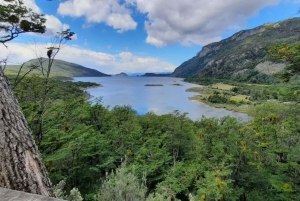 Ushuaia: Tierra del Fuegon kansallispuiston puolipäiväinen retki