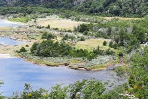 Ushuaia: Tierra del Fuegon kansallispuiston puolipäiväinen retki