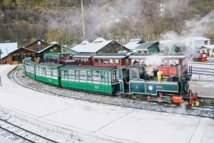 Ushuaia: Tierra del Fuegon kansallispuiston puolipäiväinen retki