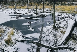 USHUAIA | Park Narodowy Tierra del Fuego i opcjonalny pociąg