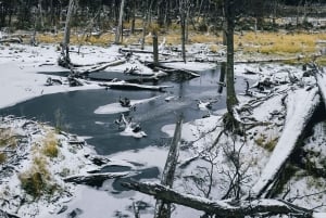 USHUAIA | Tierra del Fuego National Park & valgfrit tog