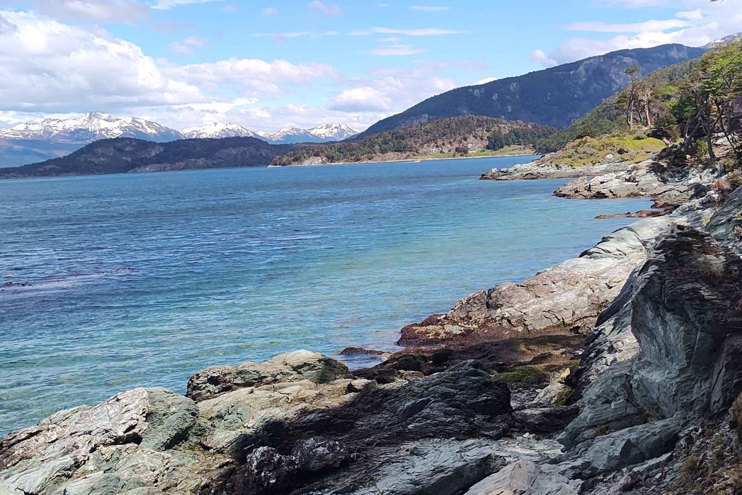 Ab Ushuaia: Private Tour zum Nationalpark Tierra del Fuego