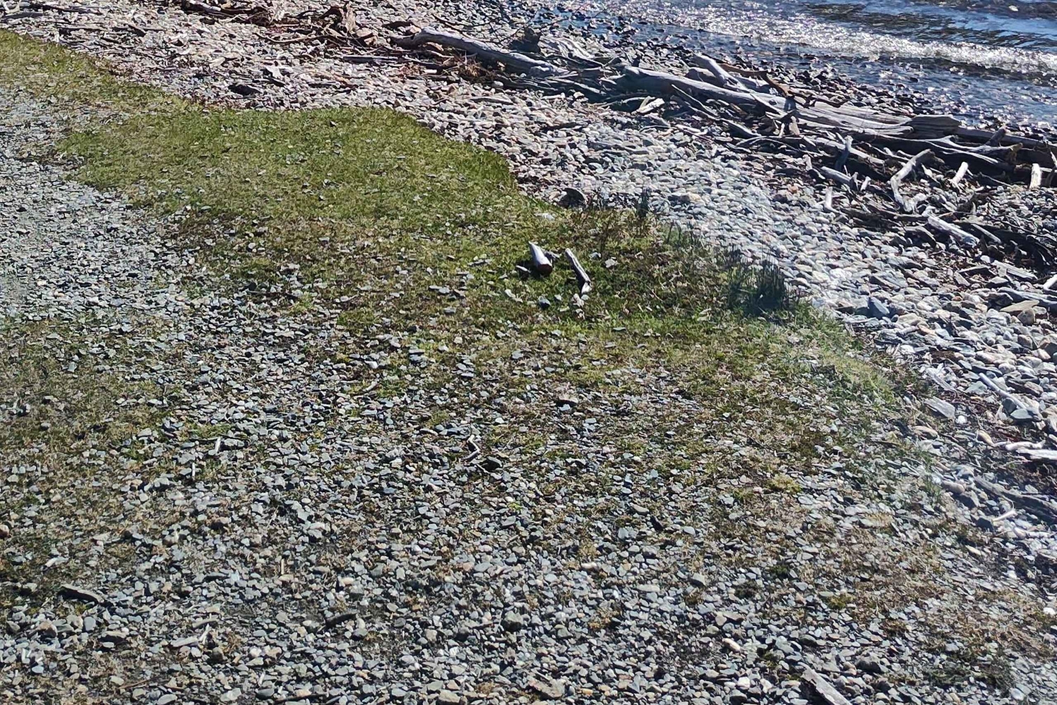 Ab Ushuaia: Private Tour zum Nationalpark Tierra del Fuego