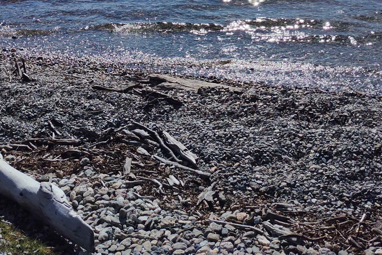 Ab Ushuaia: Private Tour zum Nationalpark Tierra del Fuego