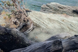 Ab Ushuaia: Private Tour zum Nationalpark Tierra del Fuego