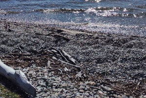 Ab Ushuaia: Private Tour zum Nationalpark Tierra del Fuego