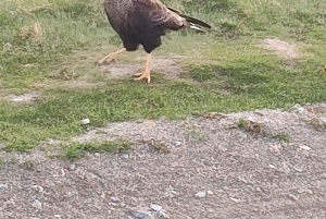 Ab Ushuaia: Private Tour zum Nationalpark Tierra del Fuego