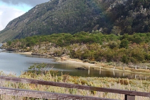 Ab Ushuaia: Private Tour zum Nationalpark Tierra del Fuego