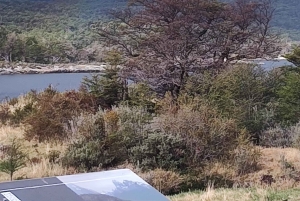 Ab Ushuaia: Private Tour zum Nationalpark Tierra del Fuego