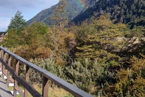 Ab Ushuaia: Private Tour zum Nationalpark Tierra del Fuego