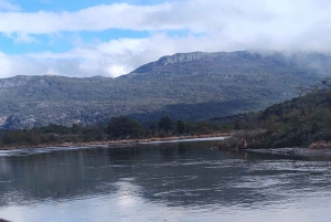 Ab Ushuaia: Private Tour zum Nationalpark Tierra del Fuego