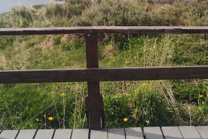 Ab Ushuaia: Private Tour zum Nationalpark Tierra del Fuego