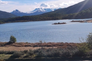 Ab Ushuaia: Private Tour zum Nationalpark Tierra del Fuego