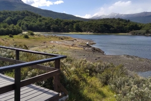 Ab Ushuaia: Private Tour zum Nationalpark Tierra del Fuego