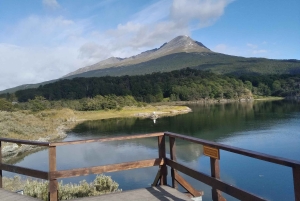 Ab Ushuaia: Private Tour zum Nationalpark Tierra del Fuego