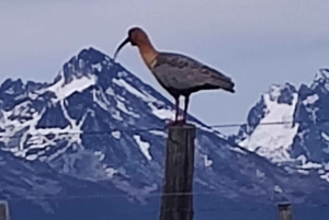 Ab Ushuaia: Private Tour zum Nationalpark Tierra del Fuego
