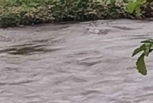 Ab Ushuaia: Private Tour zum Nationalpark Tierra del Fuego